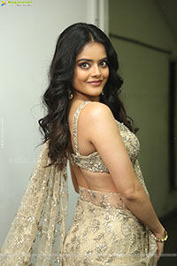 Riddhi Kumar at The Rajasaab Blockbuster Meet