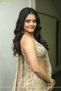 Riddhi Kumar at The Rajasaab Blockbuster Meet