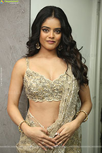 Riddhi Kumar at The Rajasaab Blockbuster Meet