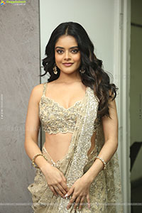 Riddhi Kumar at The Rajasaab Blockbuster Meet