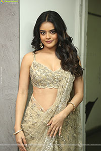 Riddhi Kumar at The Rajasaab Blockbuster Meet