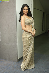 Riddhi Kumar at The Rajasaab Blockbuster Meet