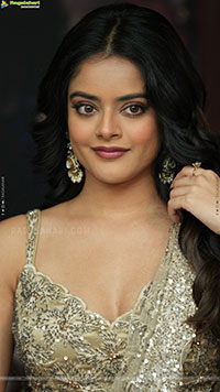 Riddhi Kumar at The Rajasaab Blockbuster Meet