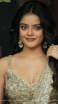 Riddhi Kumar at The Rajasaab Blockbuster Meet