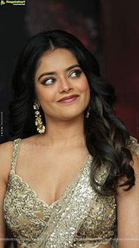 Riddhi Kumar at The Rajasaab Blockbuster Meet