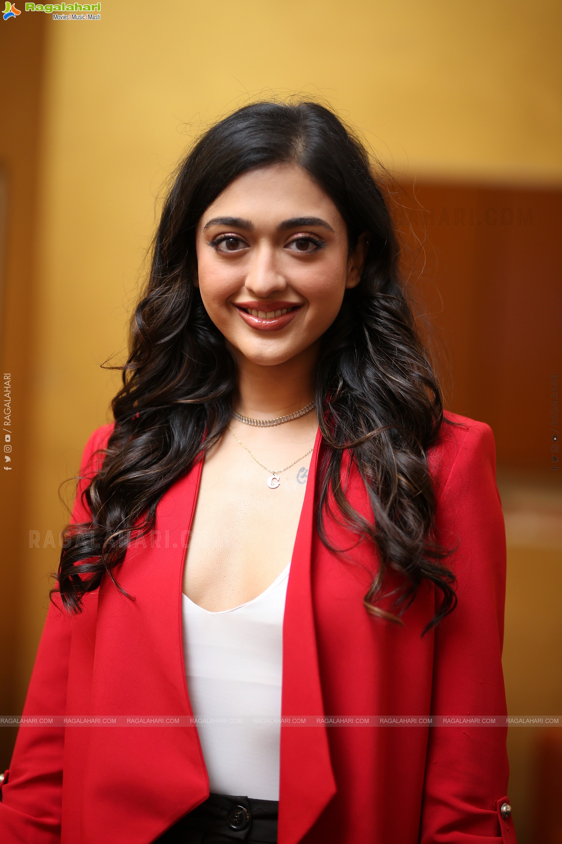 Gayatri Bharadwaj at Buddy Pre-Release Press Meet, HD Gallery