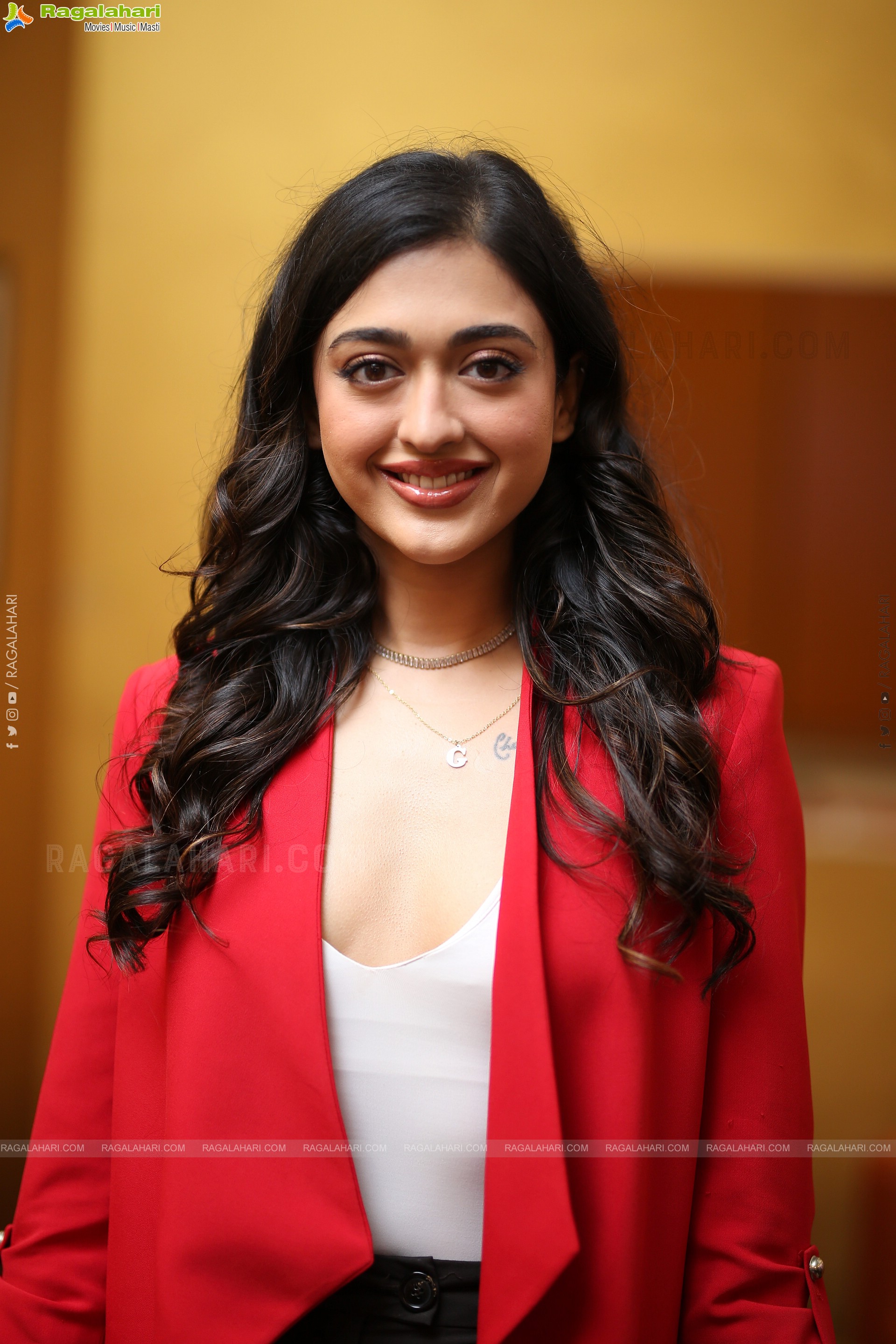 Gayatri Bharadwaj at Buddy Pre-Release Press Meet, HD Gallery