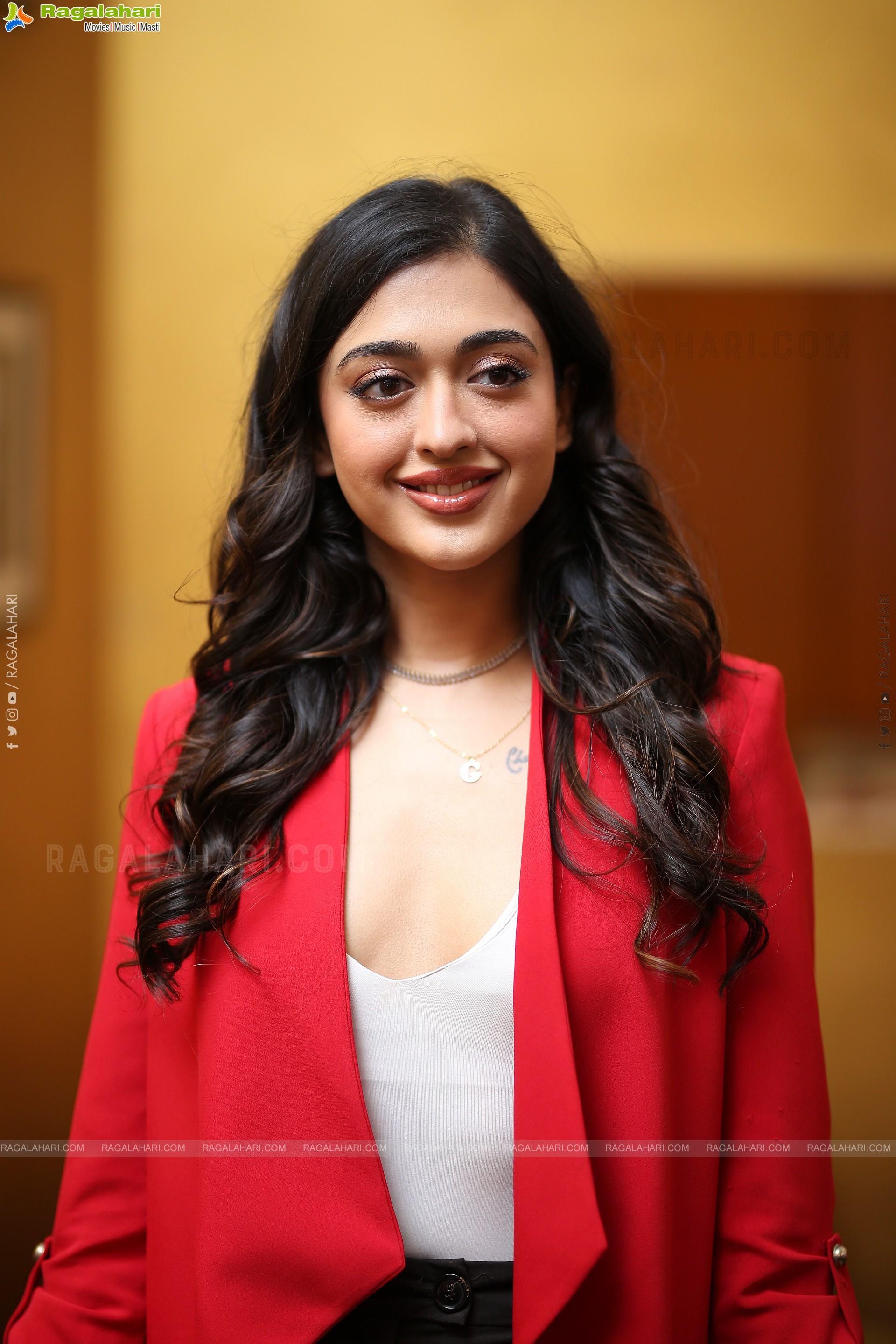 Gayatri Bharadwaj at Buddy Pre-Release Press Meet, HD Gallery