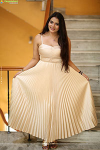 Anupama Prakash at Mr. Reddy Pre Release Event