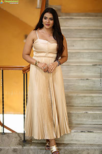 Anupama Prakash at Mr. Reddy Pre Release Event