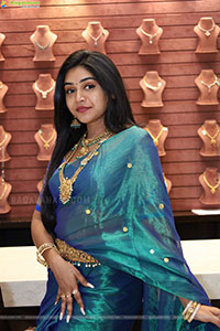 Bramarambika poses with Jewellery, HD Gallery