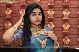 Bramarambika poses with Jewellery, HD Gallery