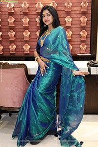 Bramarambika poses with Jewellery, HD Gallery