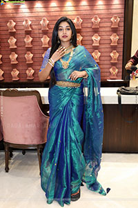 Bramarambika poses with Jewellery, HD Gallery