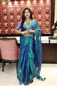 Bramarambika poses with Jewellery, HD Gallery