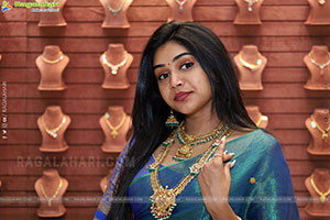 Bramarambika poses with Jewellery, HD Gallery
