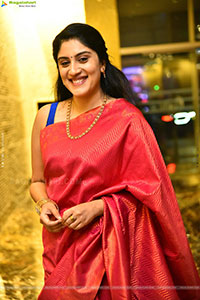 Dhanya Balakrishna at The 100 Movie Prerelease Event