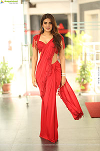 Nidhhi Agerwal at Hari Hara Veera Mallu Interview