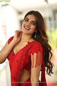 Nidhhi Agerwal at Hari Hara Veera Mallu Interview