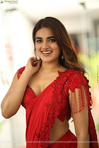 Nidhhi Agerwal at Hari Hara Veera Mallu Interview