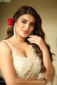 Nidhhi Agerwal at Hari Hara Veera Mallu Press Meet