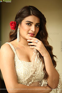 Nidhhi Agerwal at Hari Hara Veera Mallu Press Meet