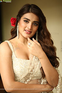 Nidhhi Agerwal at Hari Hara Veera Mallu Press Meet