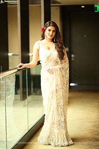 Nidhhi Agerwal at Hari Hara Veera Mallu Press Meet