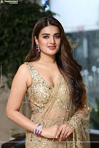 Nidhhi Agerwal at Hari Hara Veera Mallu Success Meet