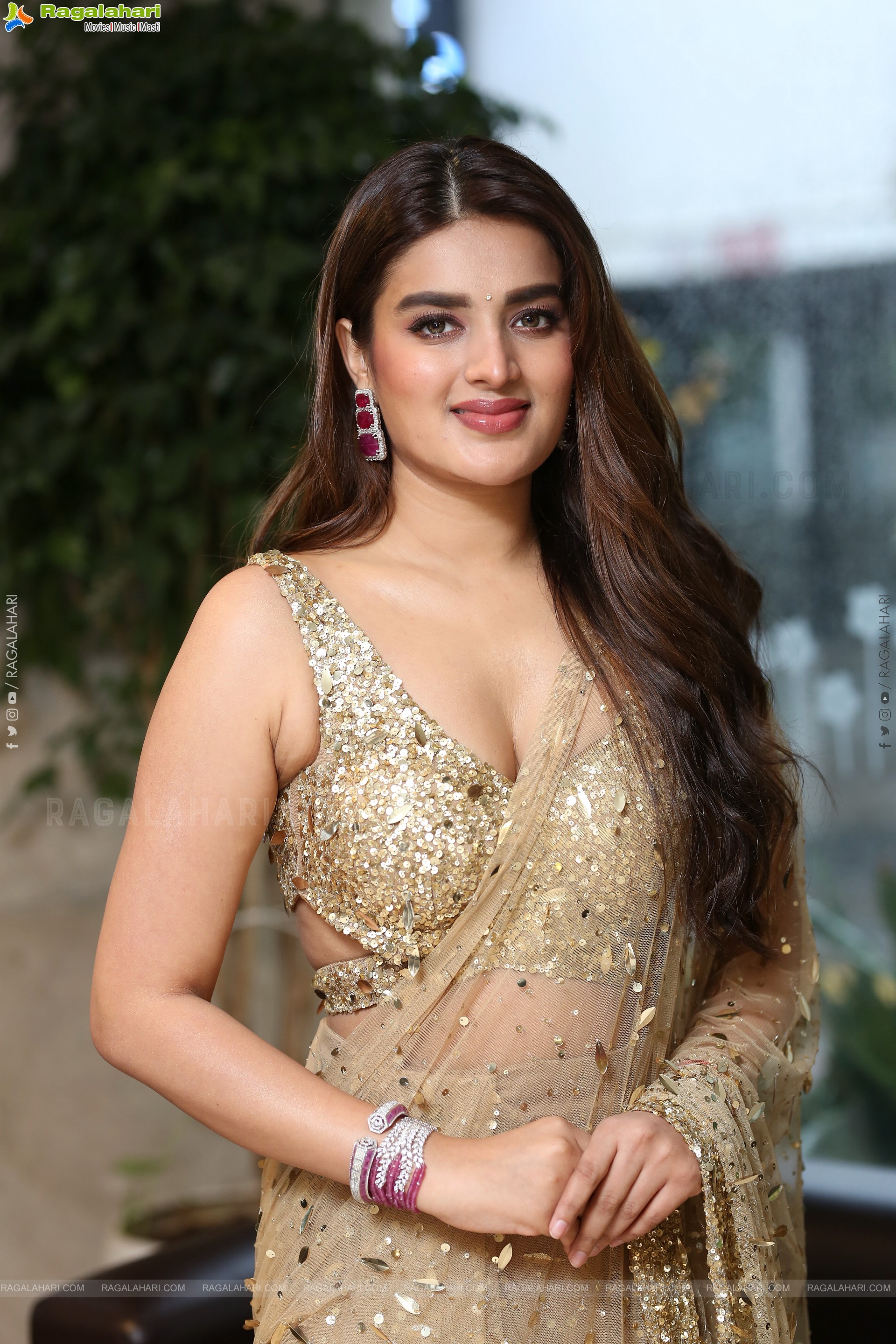 Nidhhi Agerwal at Hari Hara Veera Mallu Success Meet, HD Gallery