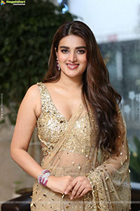 Nidhhi Agerwal at Hari Hara Veera Mallu Success Meet