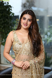 Nidhhi Agerwal at Hari Hara Veera Mallu Success Meet