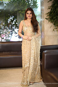 Nidhhi Agerwal at Hari Hara Veera Mallu Success Meet