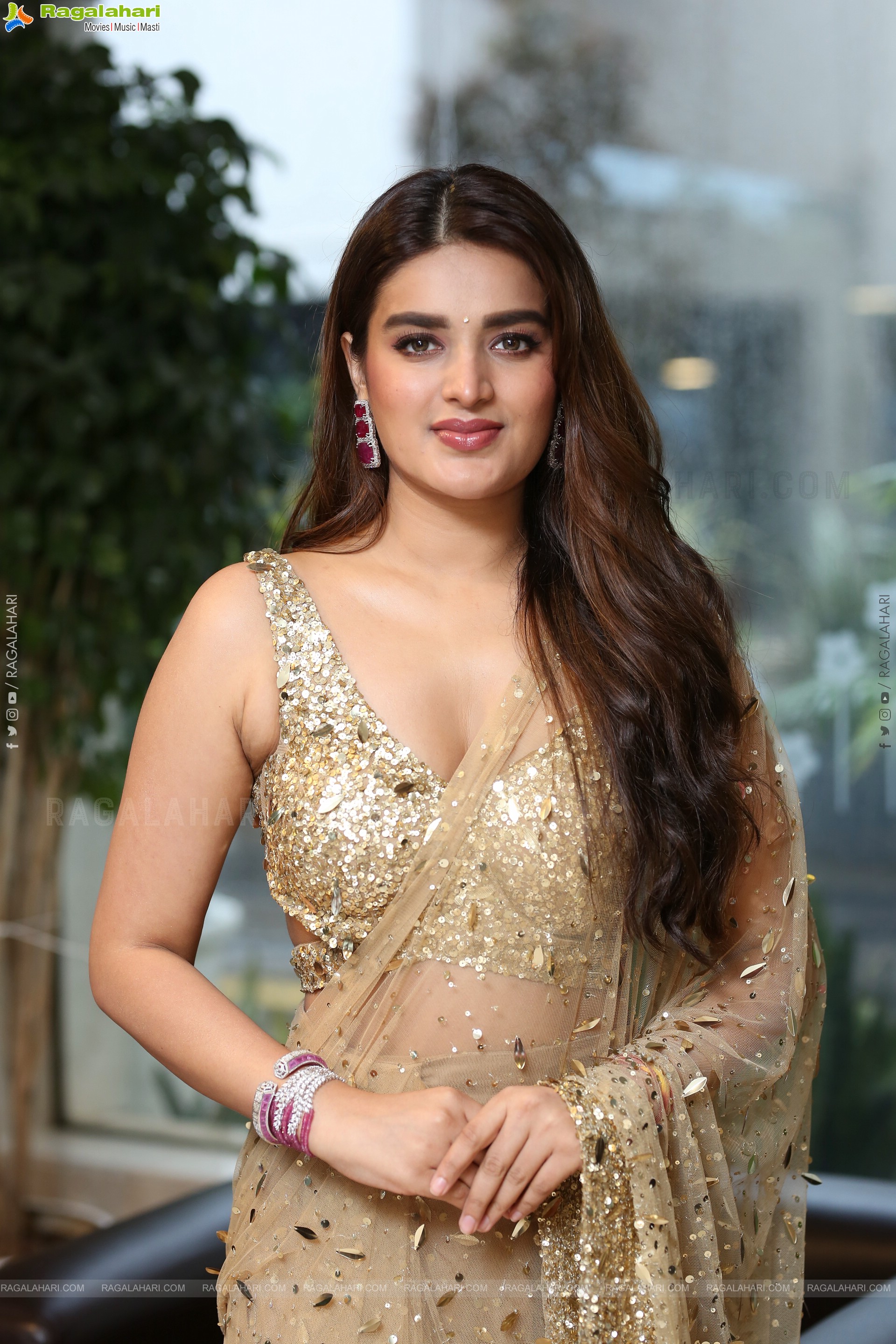 Nidhhi Agerwal at Hari Hara Veera Mallu Success Meet, HD Gallery