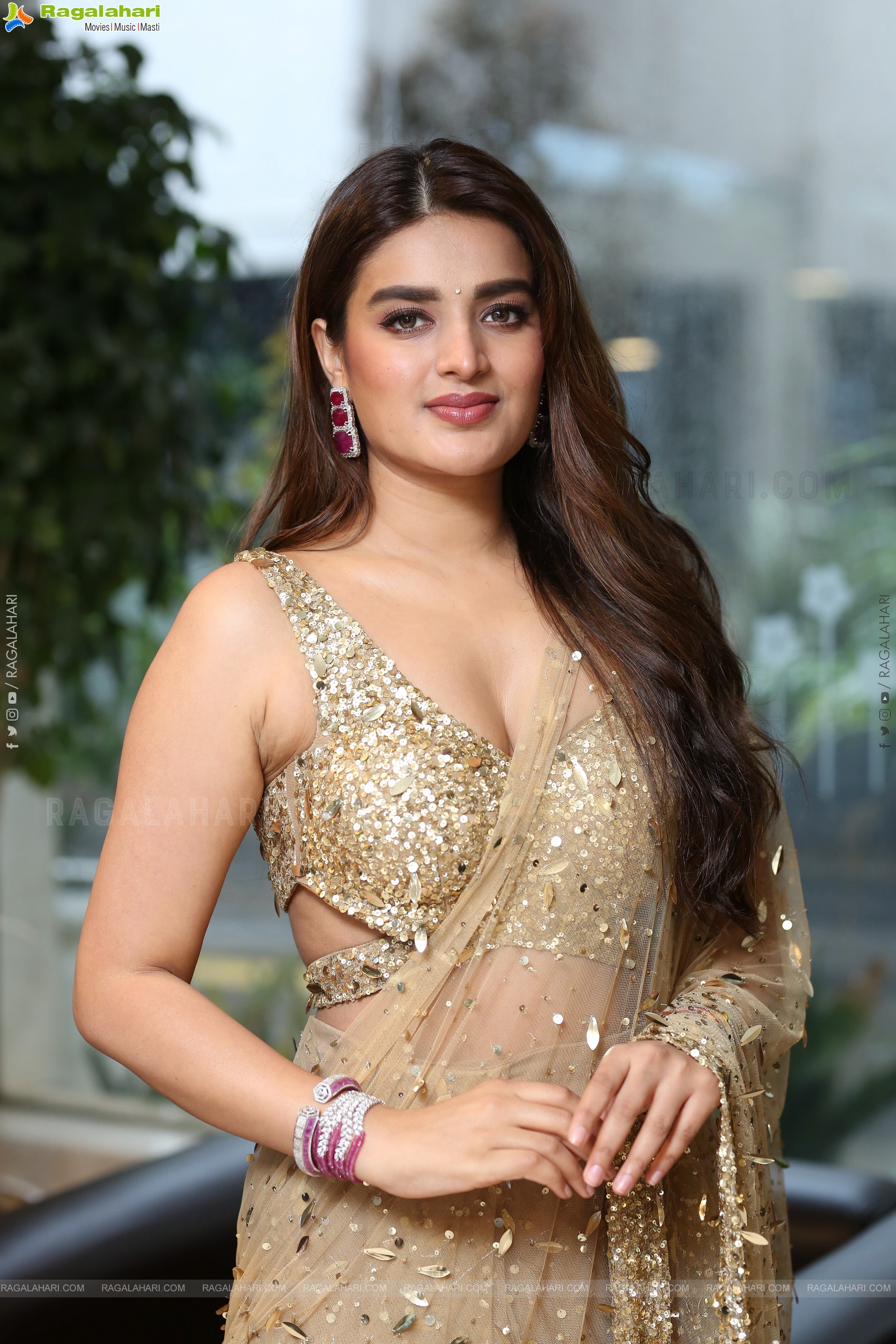 Nidhhi Agerwal at Hari Hara Veera Mallu Success Meet, HD Gallery