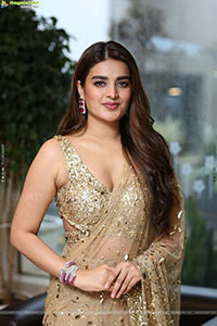 Nidhhi Agerwal at Hari Hara Veera Mallu Success Meet