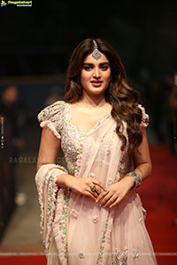 Nidhhi Agerwal at Hari Hara Veera Mallu Pre Release Event