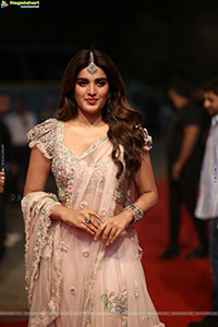 Nidhhi Agerwal at Hari Hara Veera Mallu Pre Release Event