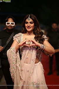 Nidhhi Agerwal at Hari Hara Veera Mallu Pre Release Event