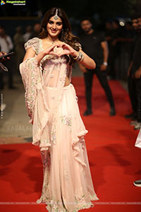 Nidhhi Agerwal at Hari Hara Veera Mallu Pre Release Event