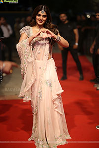 Nidhhi Agerwal at Hari Hara Veera Mallu Pre Release Event