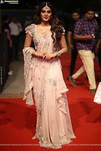 Nidhhi Agerwal at Hari Hara Veera Mallu Pre Release Event