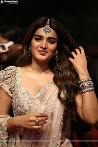 Nidhhi Agerwal at Hari Hara Veera Mallu Pre Release Event