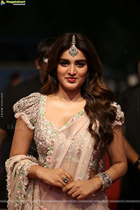 Nidhhi Agerwal at Hari Hara Veera Mallu Pre Release Event