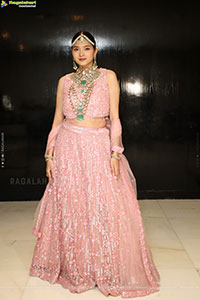 Sanjana Jooluri Poses with Traditional Jewellery, HD Gallery