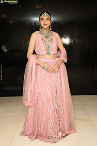 Sanjana Jooluri Poses with Traditional Jewellery, HD Gallery