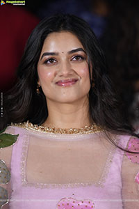 Bhagyashri Borse at Lenin Movie Press Meet