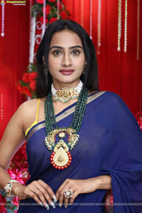Hima Varma Glam stills in Elegant Royal Blue Saree