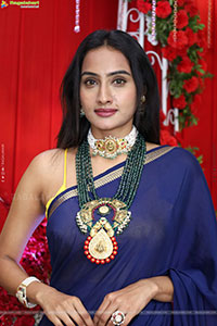 Hima Varma Glam stills in Elegant Royal Blue Saree