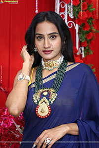 Hima Varma Glam stills in Elegant Royal Blue Saree